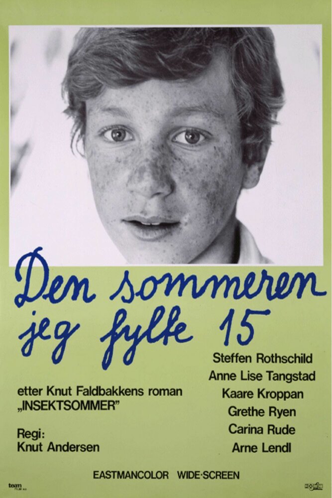 Лето, когда мне было 15 (1975) постер