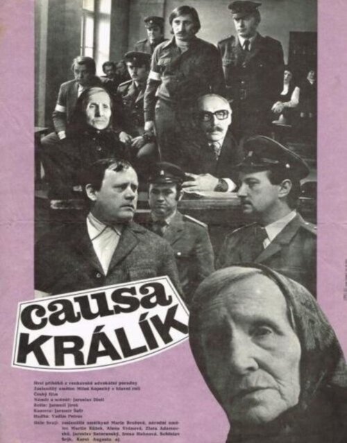 Дело кролика (1979) постер