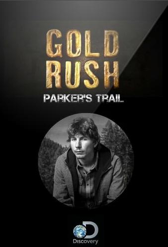 Золотой путь Паркера Шнабеля (2017) постер