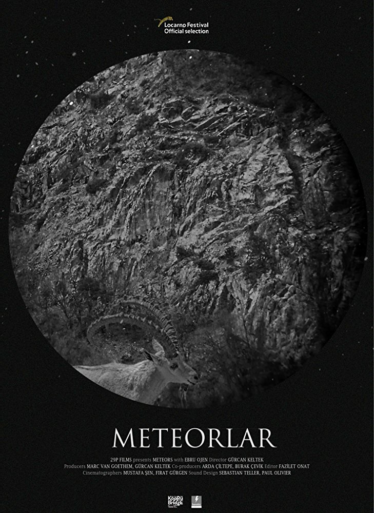 Meteorlar (2017) постер